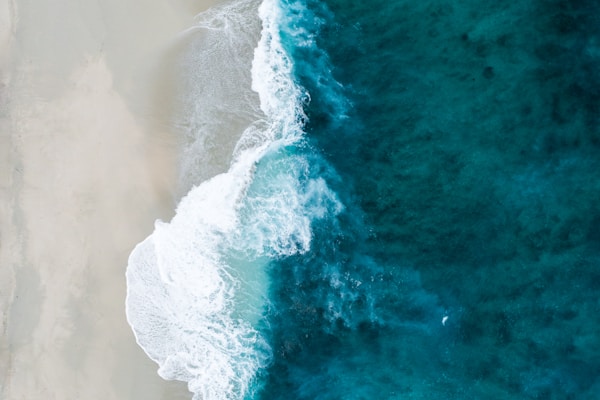 ハワイ不動産オンラインセミナー